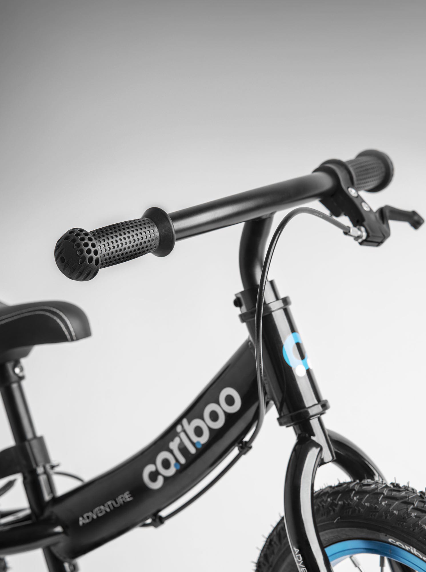 cariboo-sinine-adventure-jooksuratas6