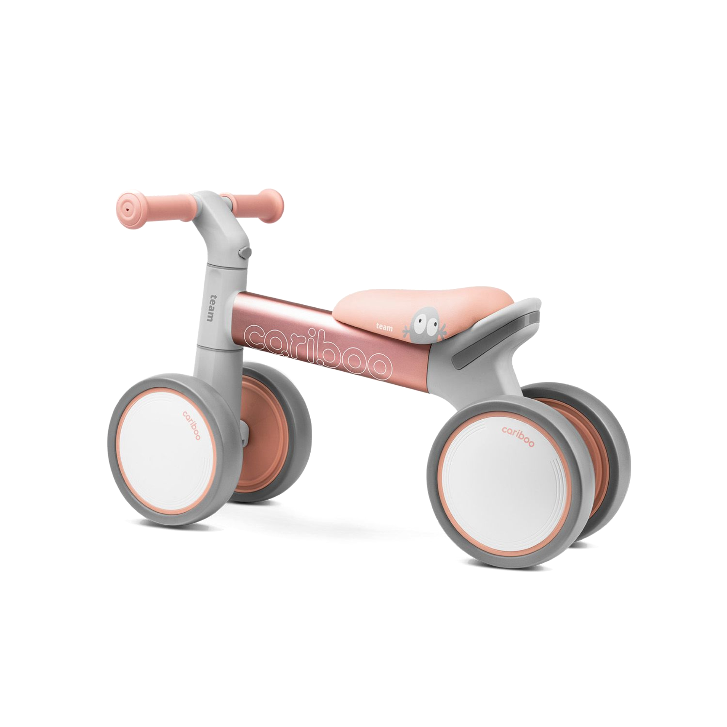 cariboo-team-punane2