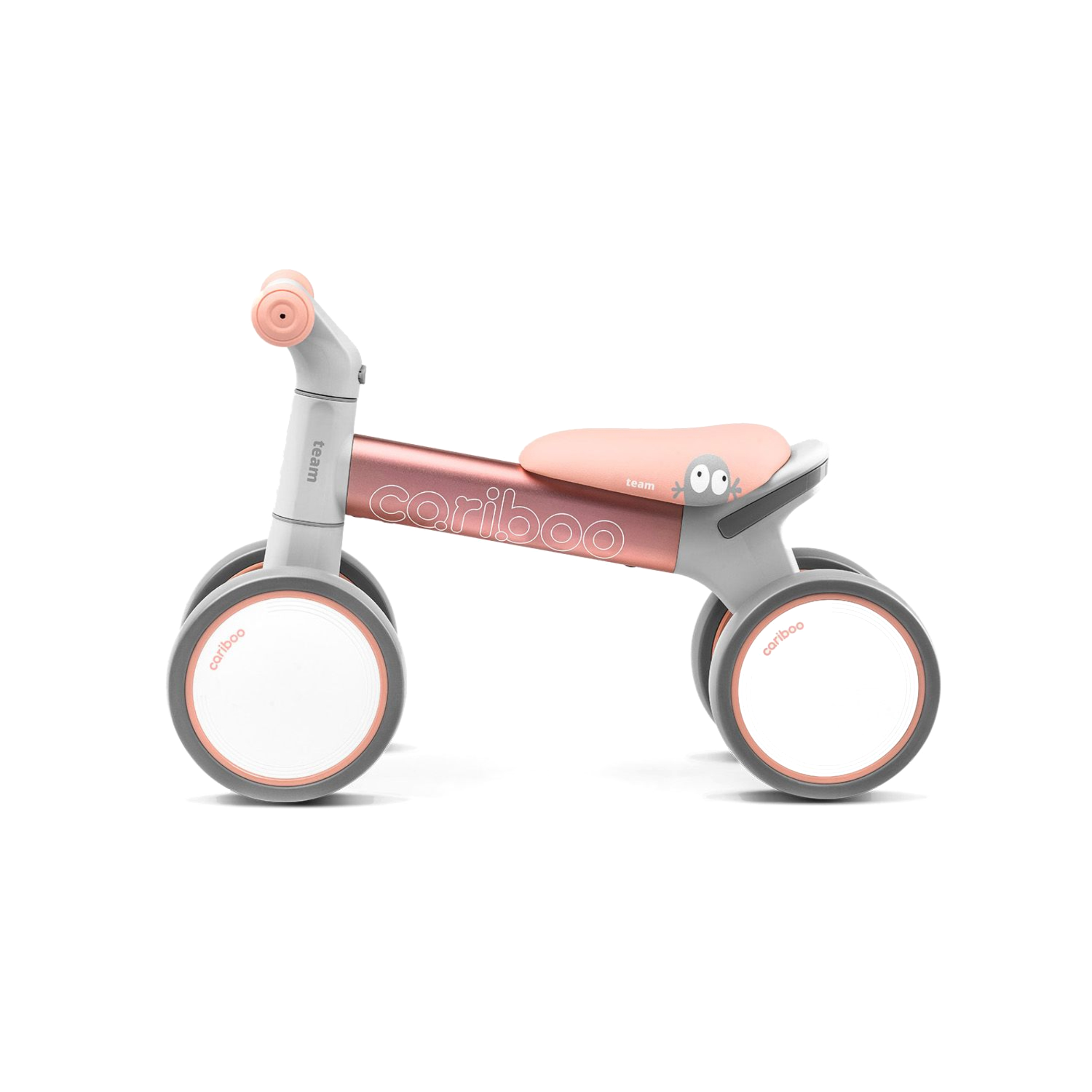 cariboo-team-punane3